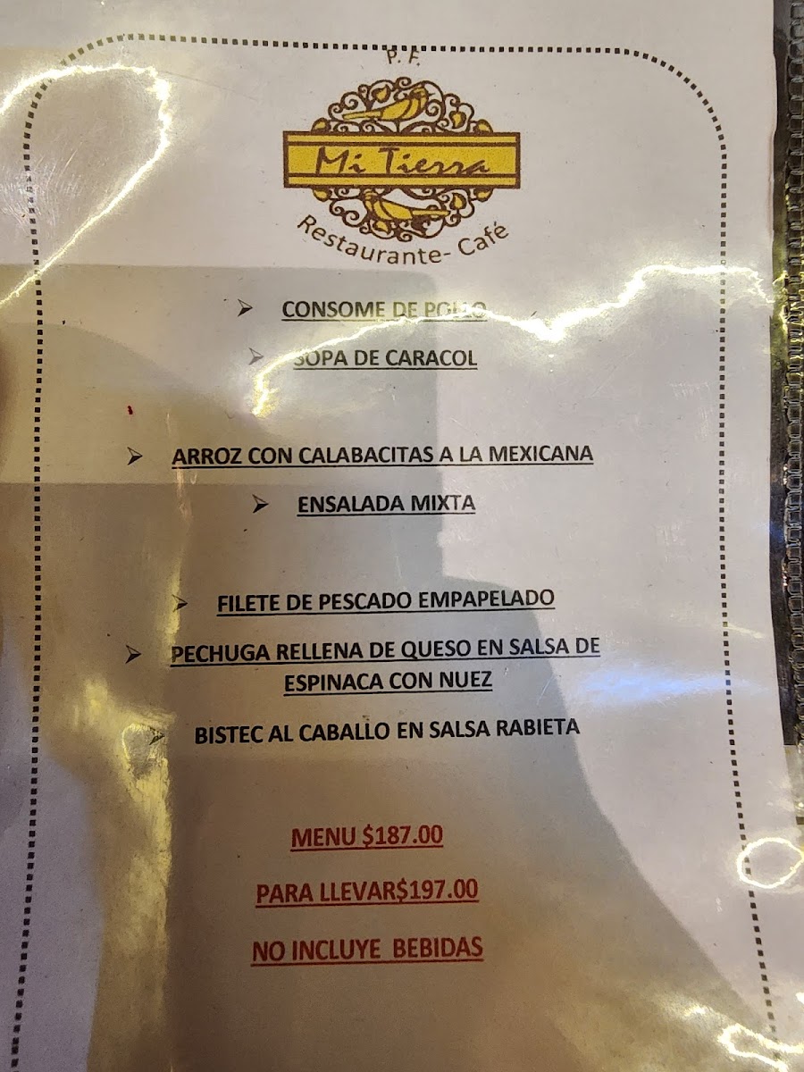 Mi Tierra Menu - Image 4